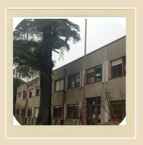 Scuola secondaria di I grado Scuola secondaria di I grado